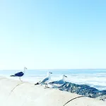 Avalon